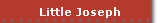 Little Joseph